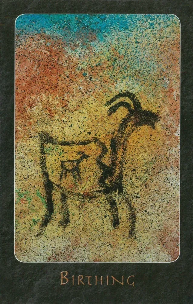 A Shaman Oracle Cards